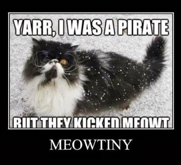 yarr i was a pirate but they kicked meowt